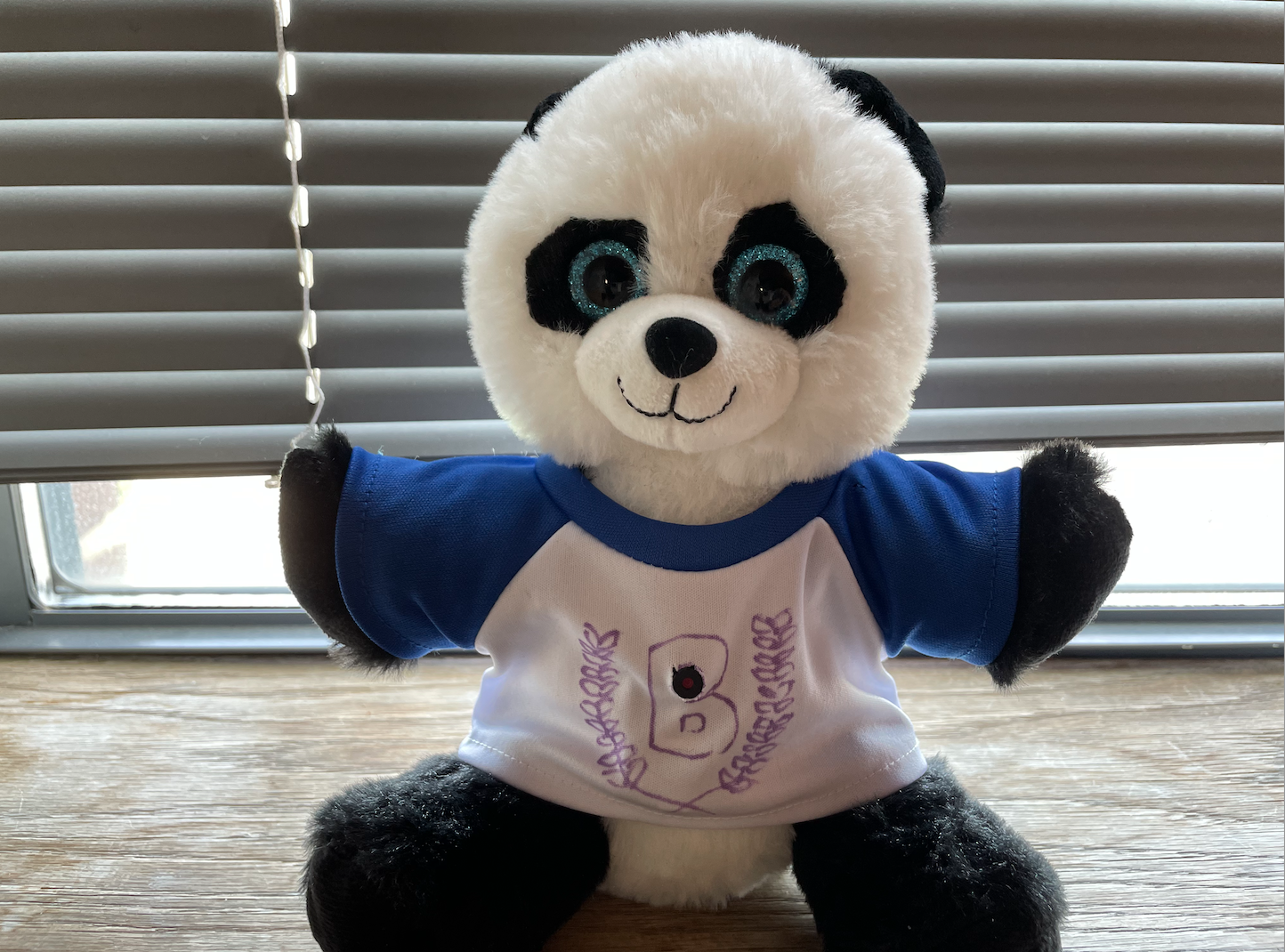 A white bear with black ears, wearing a tshirt with a camera